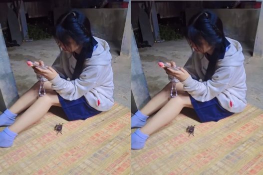 Bạn đến nhà chơi và thường xuyên rủ vào phòng nện